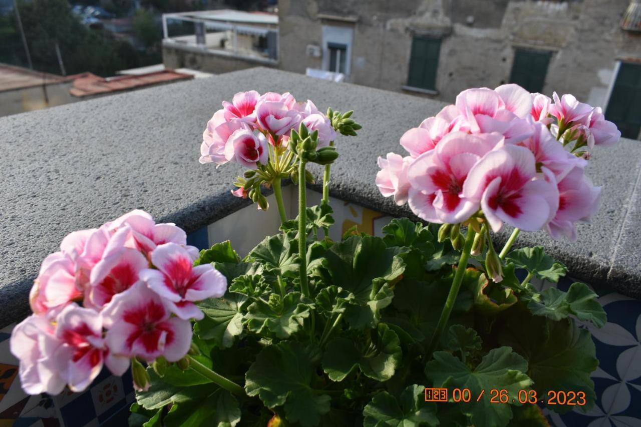 Casa Materdei Appartement Napels Buitenkant foto